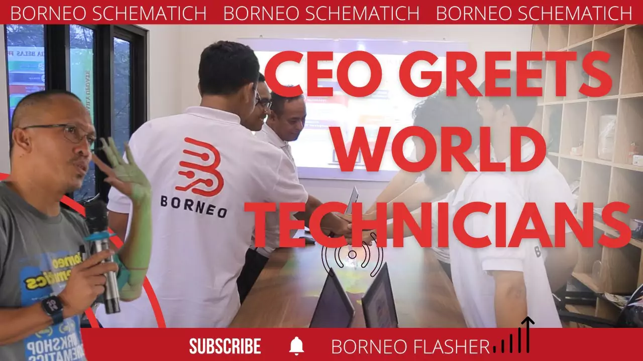 Borneo Schematics Tool: 3/6/12 Months Activation/Renewal 13 Borneo Schematic Video